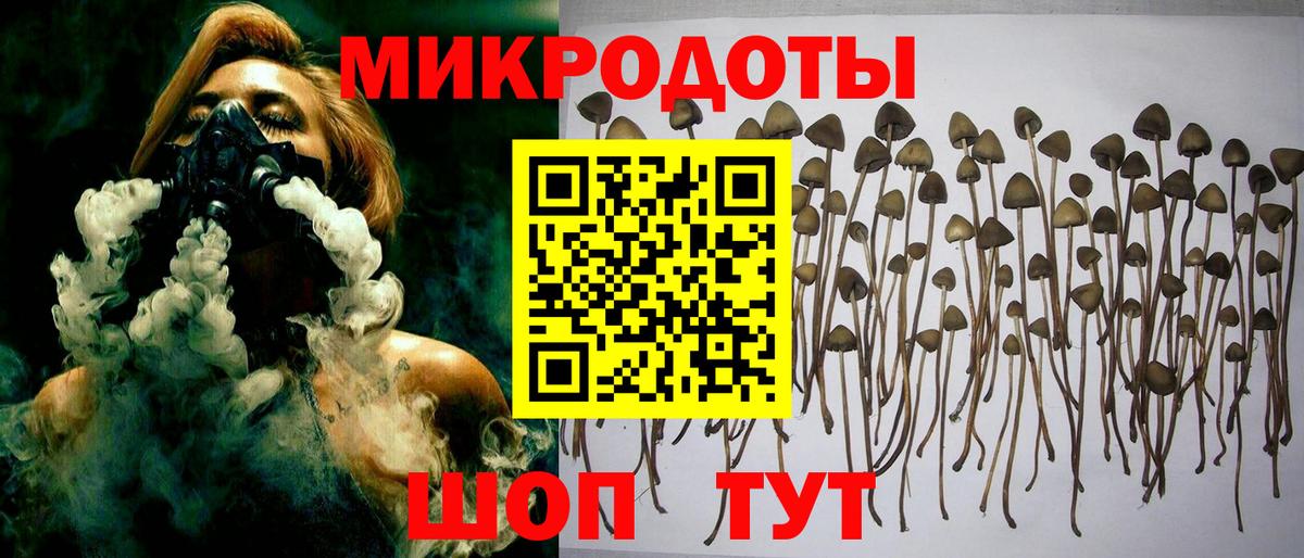 наркотики  Псилоцибиновые грибы GOLDEN TEACHER  Вход с VPN  Галлюциногенные грибы мухоморы  Курчатов 
