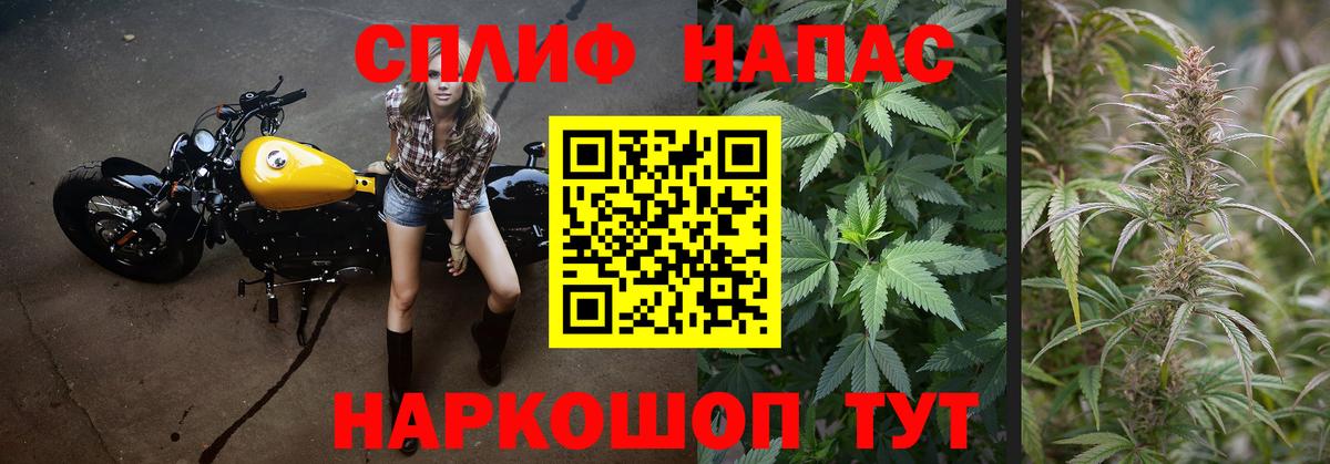 Канабис план  Канабис конопля  Марихуана Bruce Banner  Бошки Шишки индика  Вход с VPN  Курчатов 